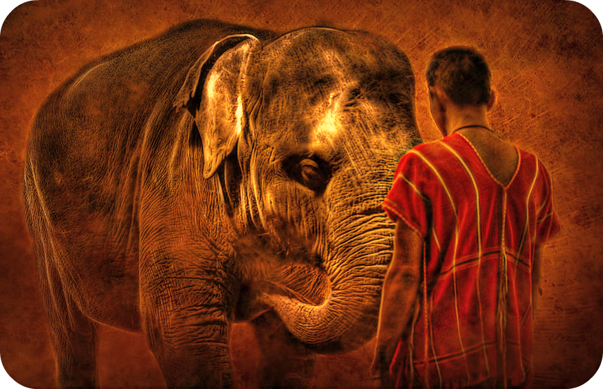 Daily Poetry and Stories Portal - A Compassionate Feeling for Others give us the Ultimate Happiness