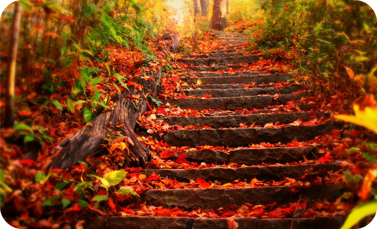 Daily Poetry and Stories Portal - Do Not be Afraid to Fall from Staircase, because the View from Top is always Beautiful Daily Poetry and Stories Portal - Do Not be Afraid to Fall from Staircase, because the View from Top is always Beautiful