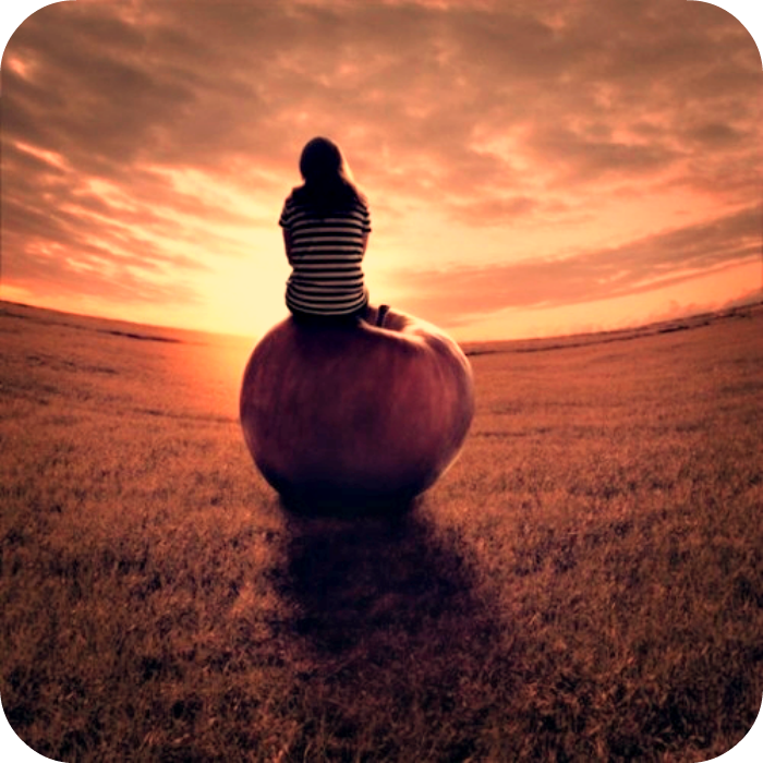 Daily Poetry and Stories Portal - Everyone have Bad Moments, do Not let it Destroy Us Daily Poetry and Stories Portal - Everyone have Bad Moments, do Not let it Destroy Us