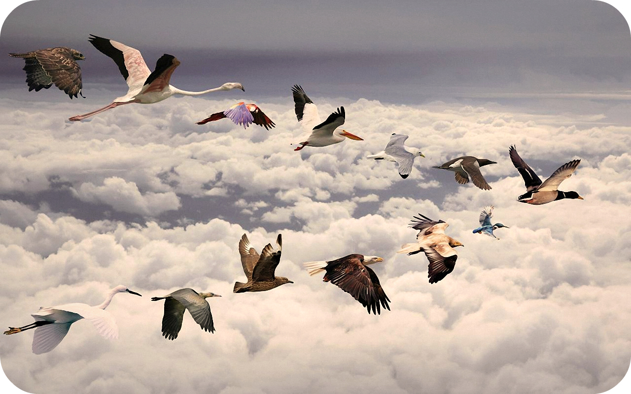 Daily Poetry and Stories Portal - Best Teamwork is Always Works Together and Not Against Each Other Daily Poetry and Stories Portal - Best Teamwork is Always Works Together and Not Against Each Other