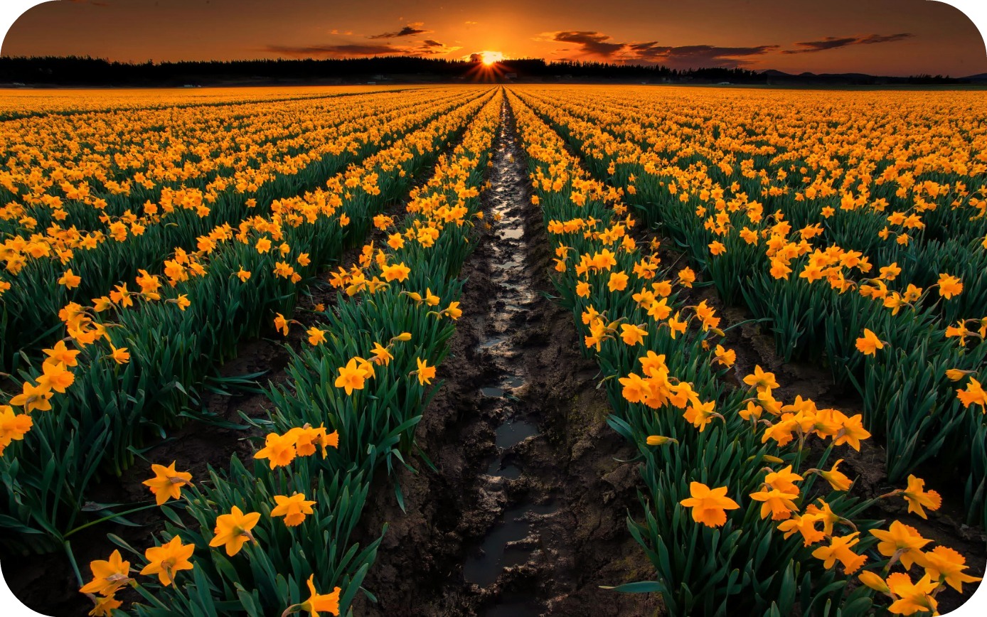 Daily Poetry and Stories Portal - A Life Path without Obstacles is Likely Lead Us to Nowhere Daily Poetry and Stories Portal - A Life Path without Obstacles is Likely Lead Us to Nowhere