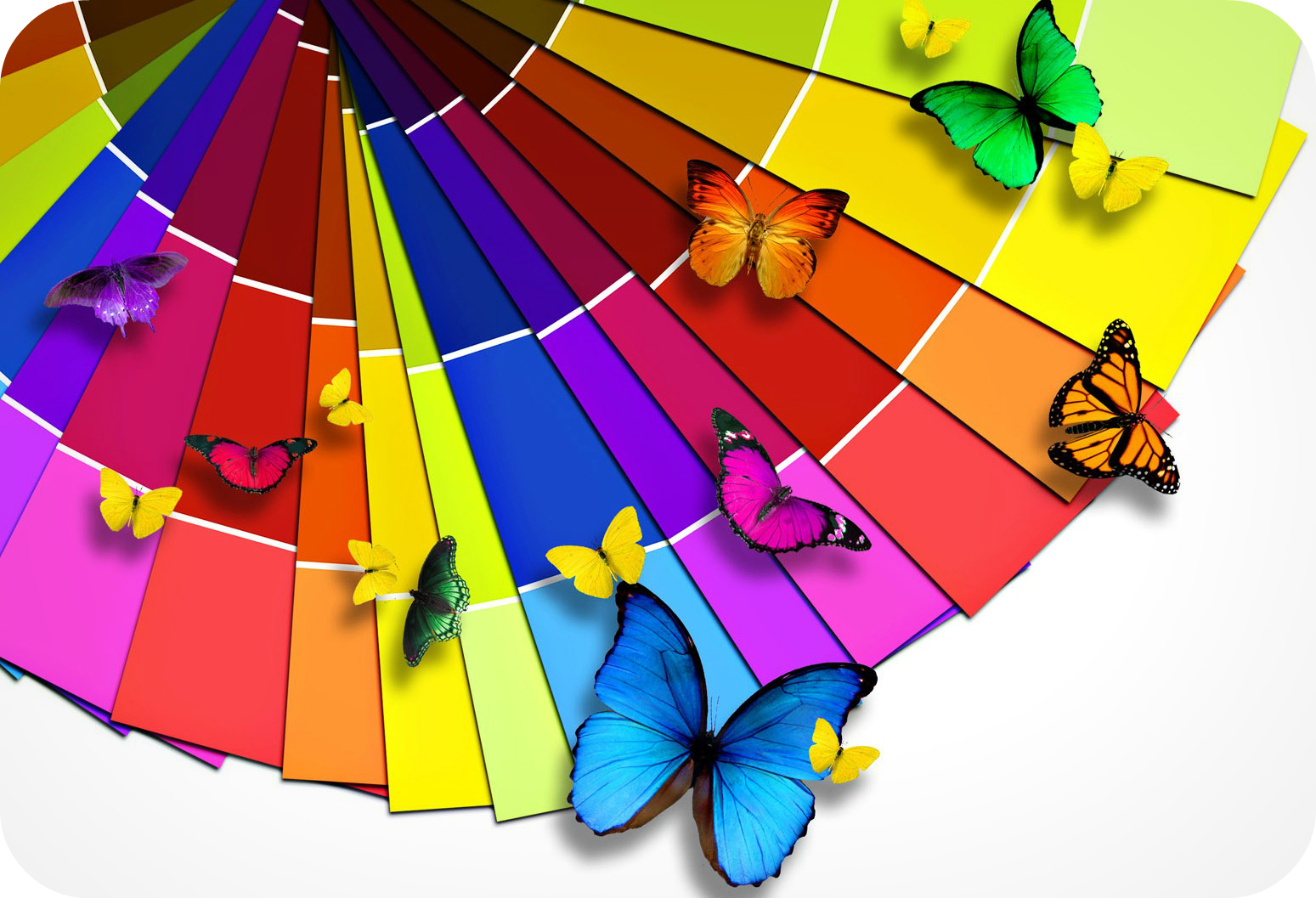 Daily Poetry and Stories Portal - The Simple Rules to Live Peacefully in a Circle is Never Break the Trust Daily Poetry and Stories Portal - The Simple Rules to Live Peacefully in a Circle is Never Break the Trust