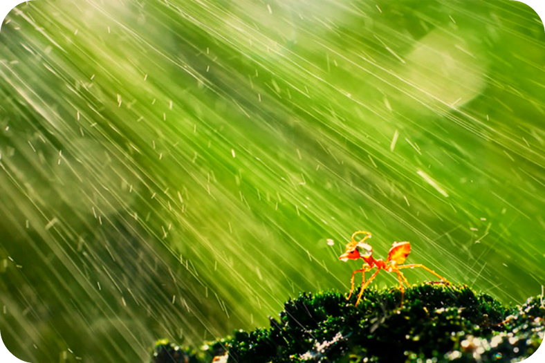 Daily Poetry and Stories Portal - Never Let the Pain Dazzle Us from Searching for Our Happiness Daily Poetry and Stories Portal - Never Let the Pain Dazzle Us from Searching for Our Happiness