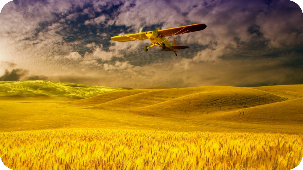 Daily Poetry and Stories Portal - A Great Plan have No Value and will Just Disappear Without Any Implementation Daily Poetry and Stories Portal - A Great Plan have No Value and will Just Disappear Without Any Implementation