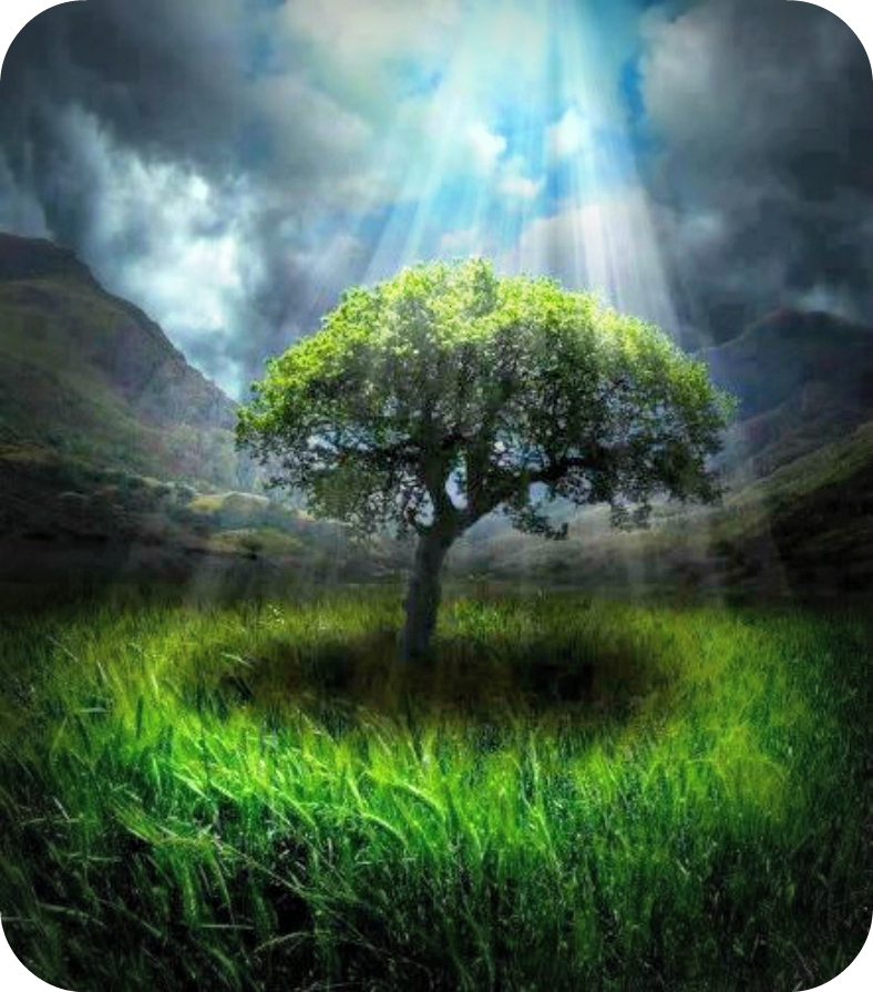 Daily Poetry and Stories Portal - There is Always a Silver Lining in Every Tough Situation Daily Poetry and Stories Portal - There is Always a Silver Lining in Every Tough Situation