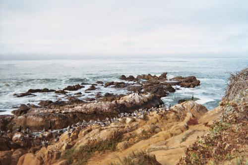 Moon Stone Beach, Cambria, California - The beautiful rocky coastline in Cambria, California.