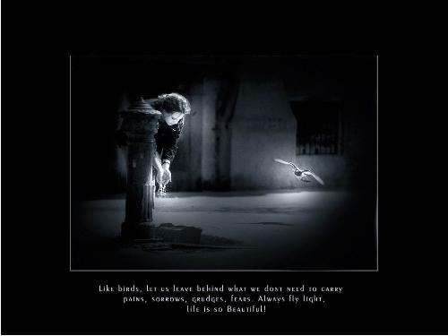 the pic says it all - the pic says it all
