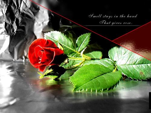 the pic says it all - the pic says it all