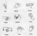 Sign Language - Baby Sign language or any type of american sign language