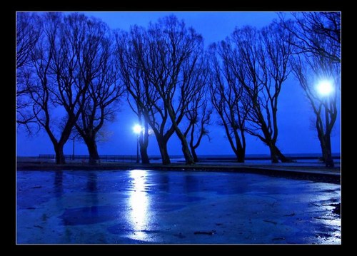 blue light - blue light