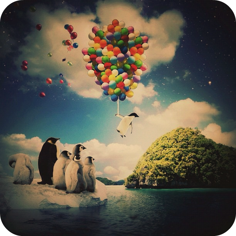 Poetry by Author Jan Jansen - If we keep on Pursuing our Goal, Magic Moments Might Appear to us Within a Whisker Poetry by Author Jan Jansen - If we keep on Pursuing our Goal, Magic Moments Might Appear to us Within a Whisker