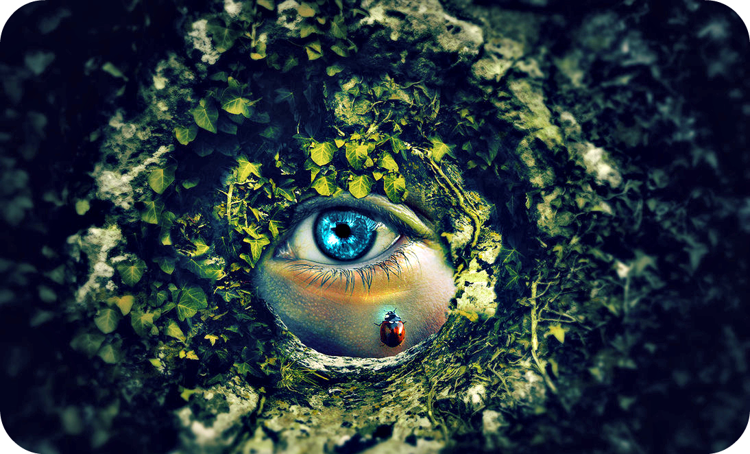 Poetry by Author Jan Jansen - Eyes is our Soul to Gain Authenticity from Others, so Always be Transparent to Everyone