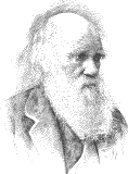 Charles Darwin - Charles Darwin