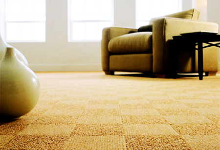 Carpet ideas Carpet ideas