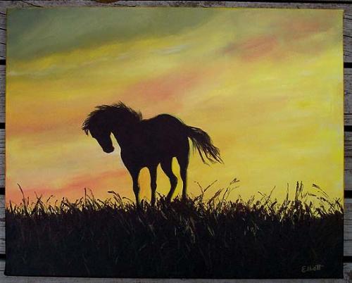 horse sunset - horse sunset