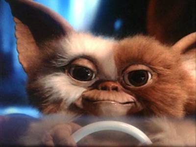 Gizmo the Mogwai