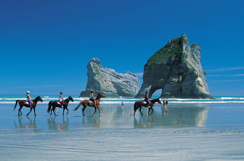 horses on the beach - horses on the beach