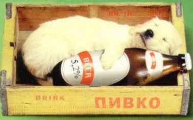 Wanna a cold one? - this animal has the right idea!