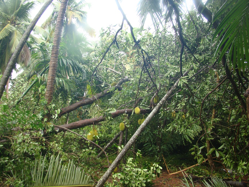 The effect of the mini tornado The effect of the mini tornado