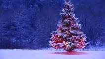 Christmas Shopping Christmas Shopping