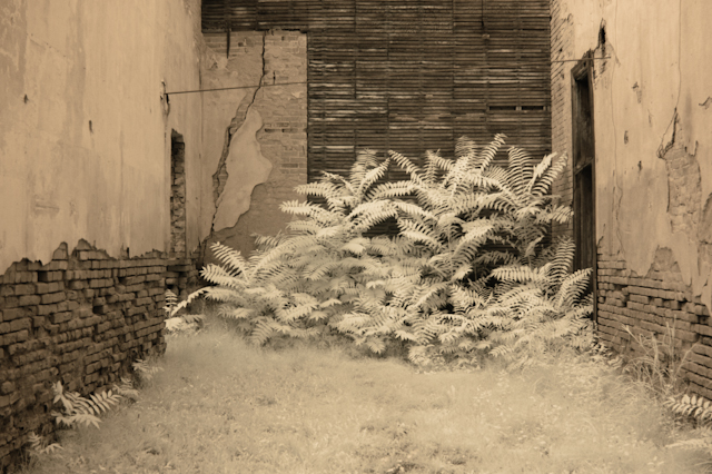 Infrared photo of an old building in Jerome, AZ