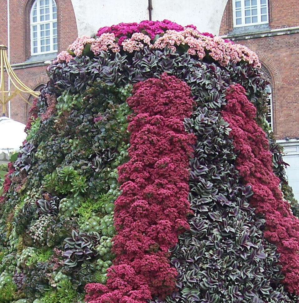Decoration from the flower festival Decoration from the flower festival