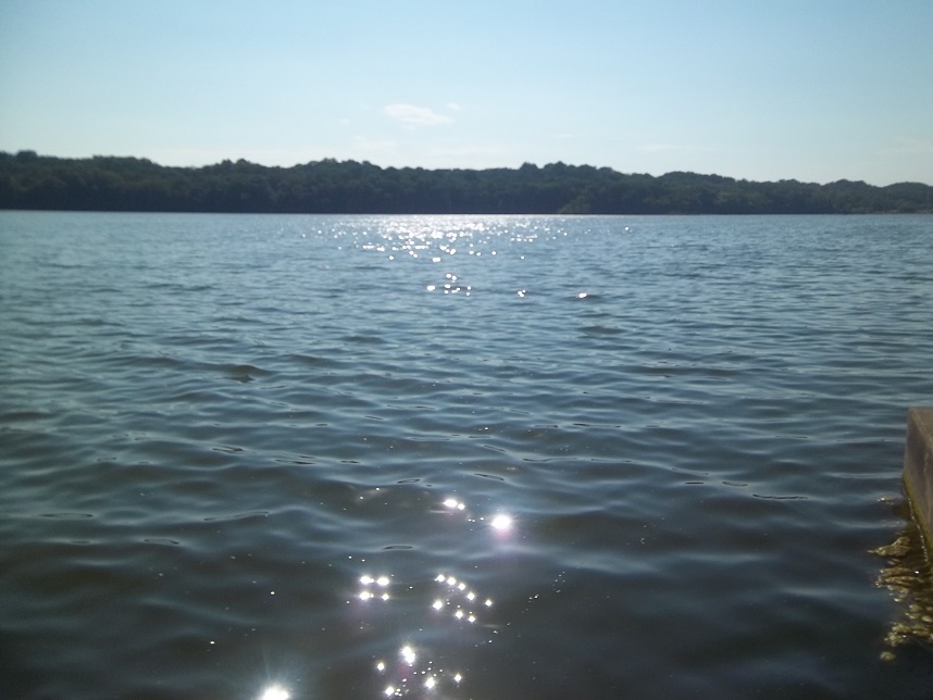 Sunlight on the lake Sunlight on the lake