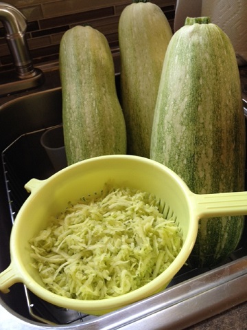 Huge Zucchinis from the garden Huge Zucchinis from the garden