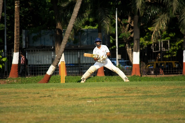 Cricket Batsman