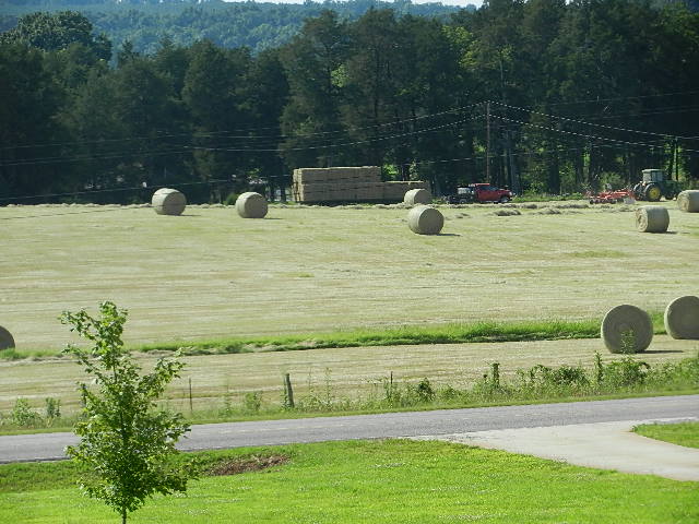 Neighbor bailing hay Neighbor bailing hay