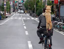 biicyclew ride https://defeatdespair.wordpress.com/2014/10/03/they-have-the-best/ biicyclew ride https://defeatdespair.wordpress.com/2014/10/03/they-have-the-best/