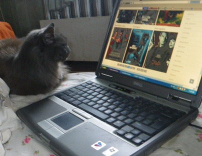 Sid getting in some laptop time. I wonder what he's thinking. Sid getting in some laptop time. I wonder what he's thinking.