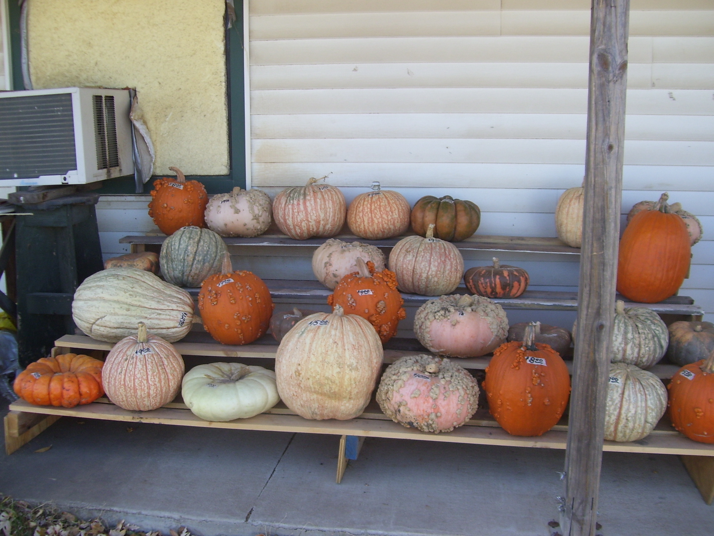 Pumpkins at a farmer's market Pumpkins at a farmer's market