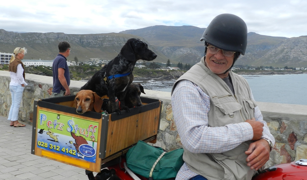 Love me love my dog - this is the whale whistler from Hermanus 