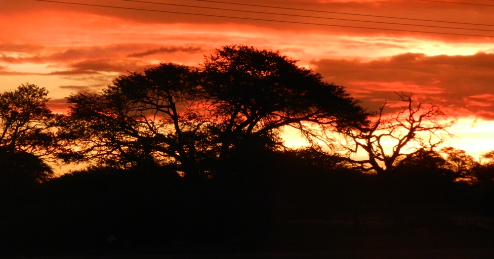 an African Sunset