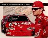 Dale Jr.14 - Dale Jr.