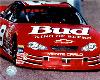 Dale Jr.16 - Dale Jr.