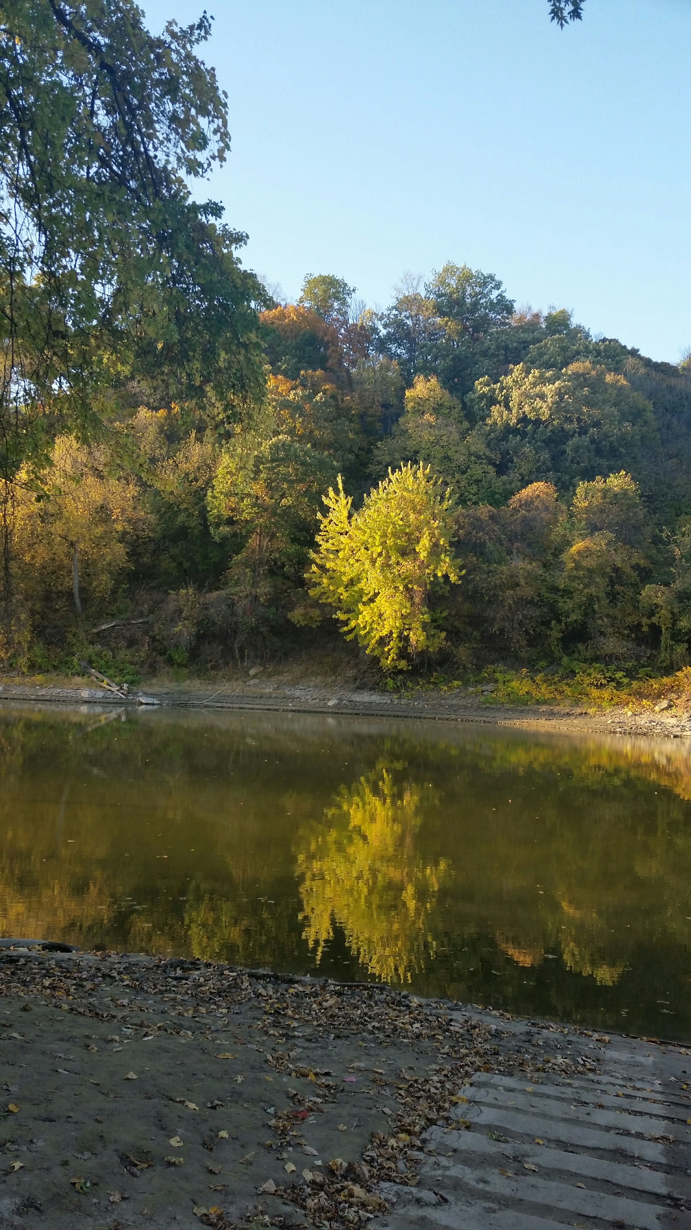 River and Trees