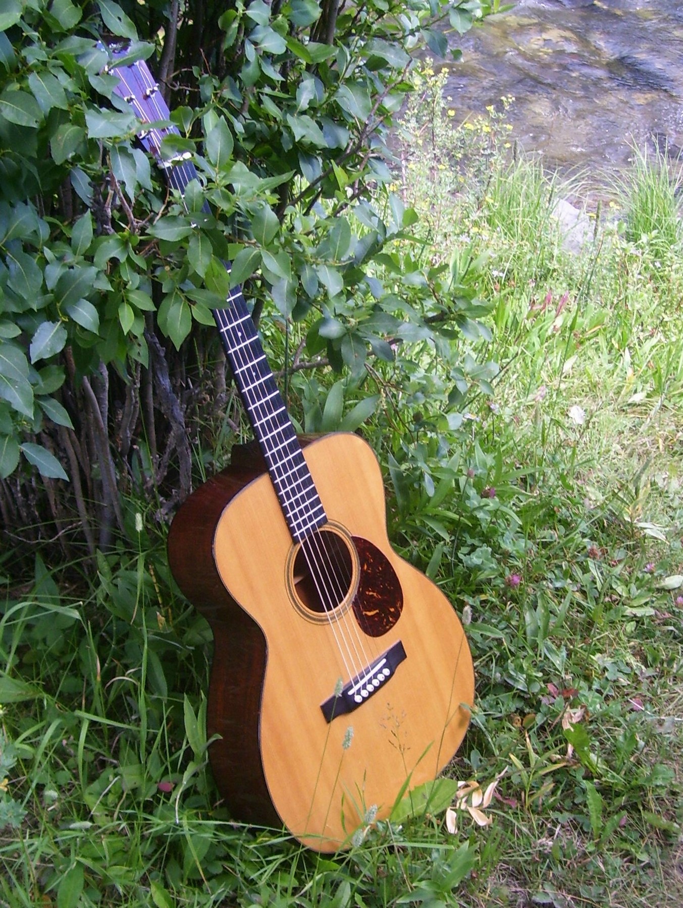 Collings OM-1 acoustic guitar Collings OM-1 acoustic guitar