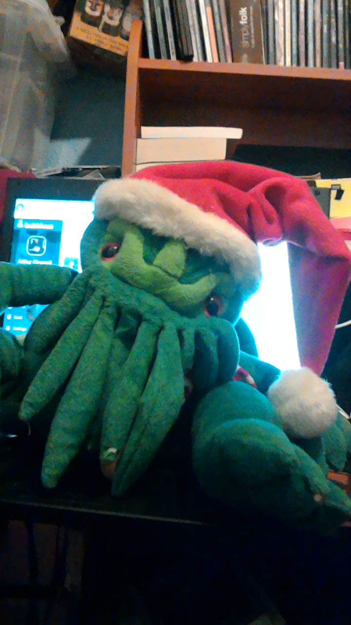 The Christmas Cthulhu photo taken by me 