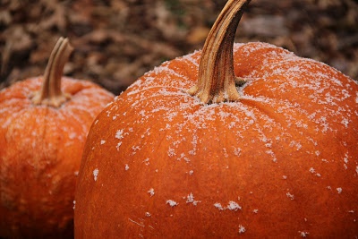 Frost on the pumpkin ,From the files of google image