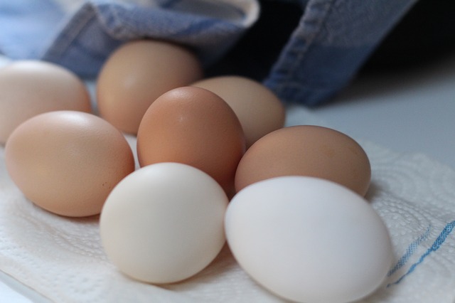 pixabay.com - great for preserving eggs