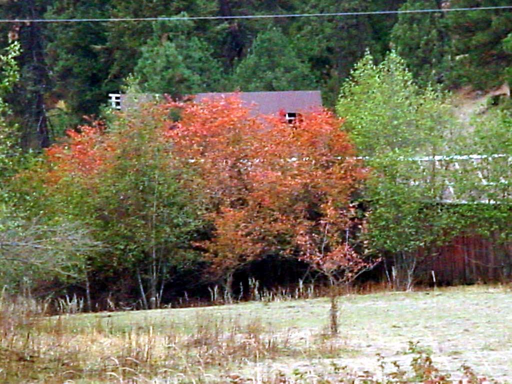 Old Barn in Autumn  credit My photo along Forker Rd. Spokane County, WA
