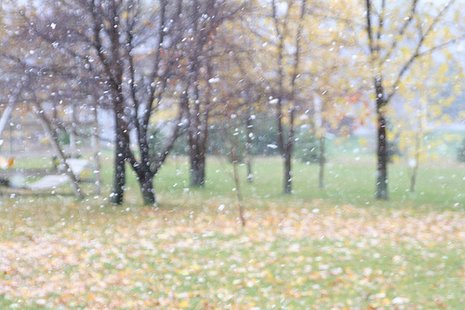 snow Flurries snow Flurries