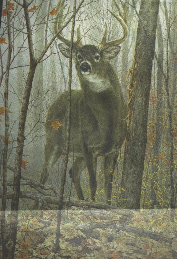 Big Stag Big Stag