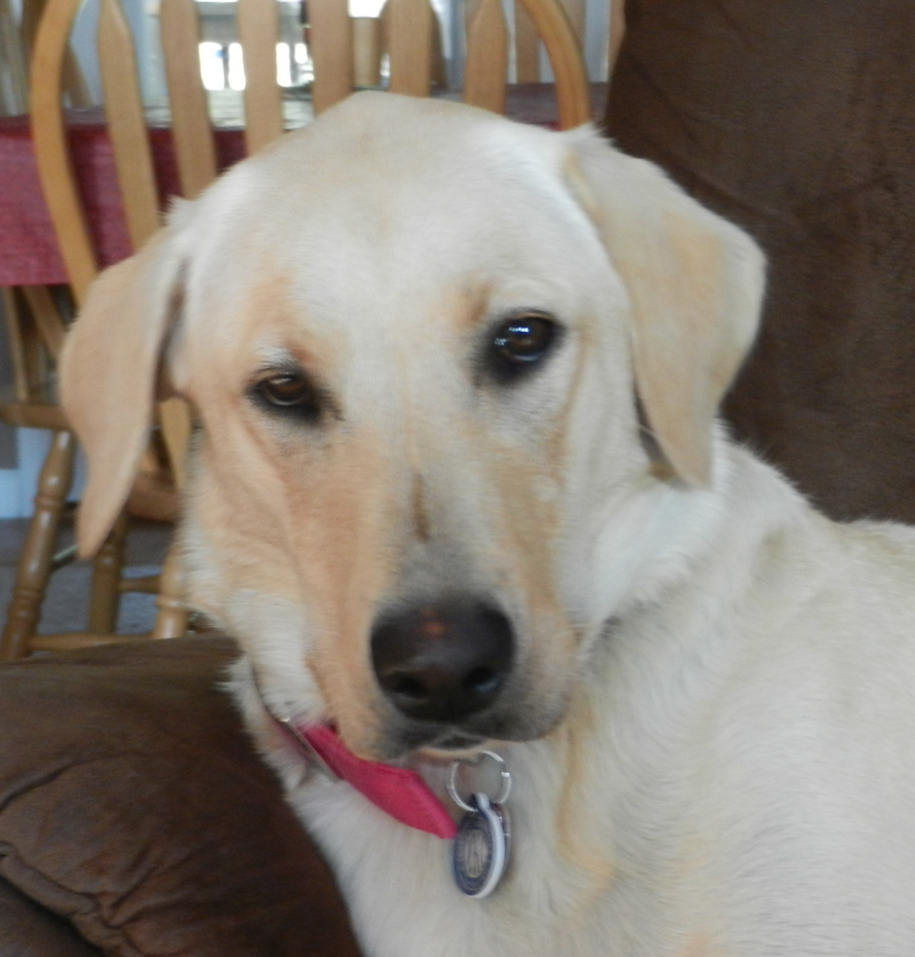 We can't be mad at that face! We can't be mad at that face!