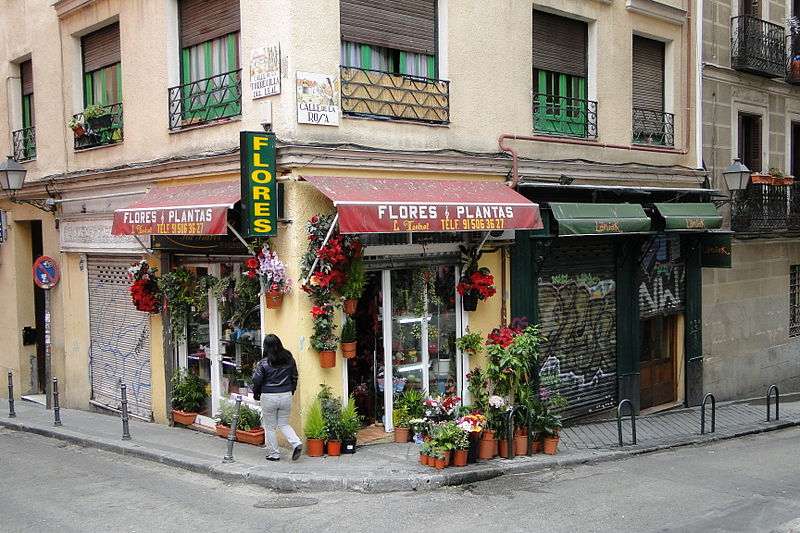 flower shop. credit https://commons.wikimedia.org/wiki/File:Flower_Shop_-_Madrid,_Spain.jpg flower shop. credit https://commons.wikimedia.org/wiki/File:Flower_Shop_-_Madrid,_Spain.jpg