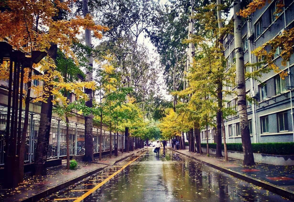 Only yesterday, when it was a washout