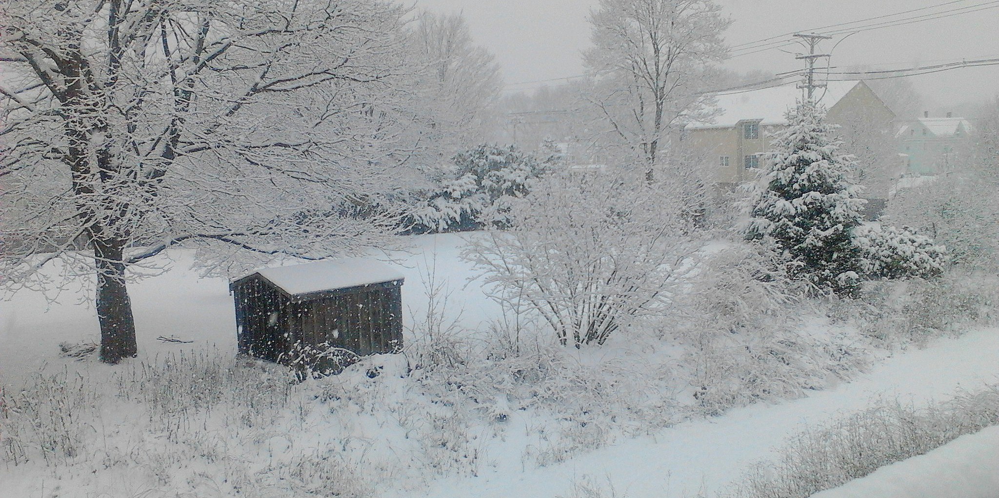 Snow on a rustic shed, Photo by Anja
