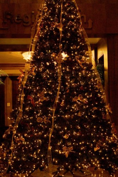 Photo of Christmas tree courtesy of morguefile.com